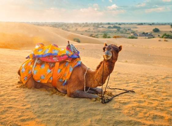 Marwad Rajasthan Tour Package.